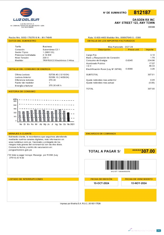 Peru Luz de Sur business utility bill template in Word and PDF formats, fully editable